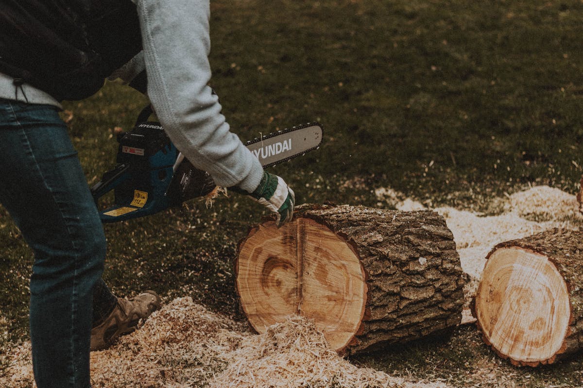 Worker in gloves using an electric chainsaw to cut a wooden stump on a grassy lawn